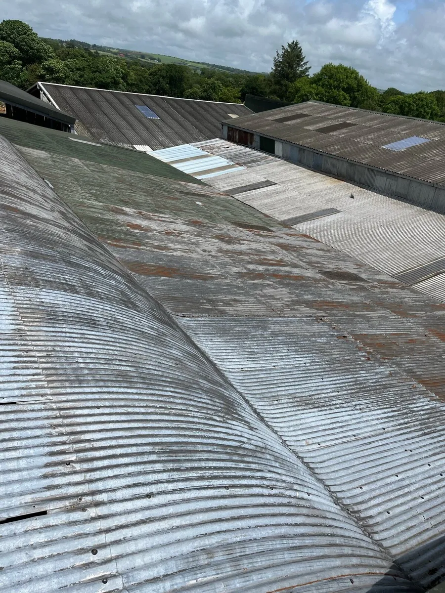Shed - Image 3