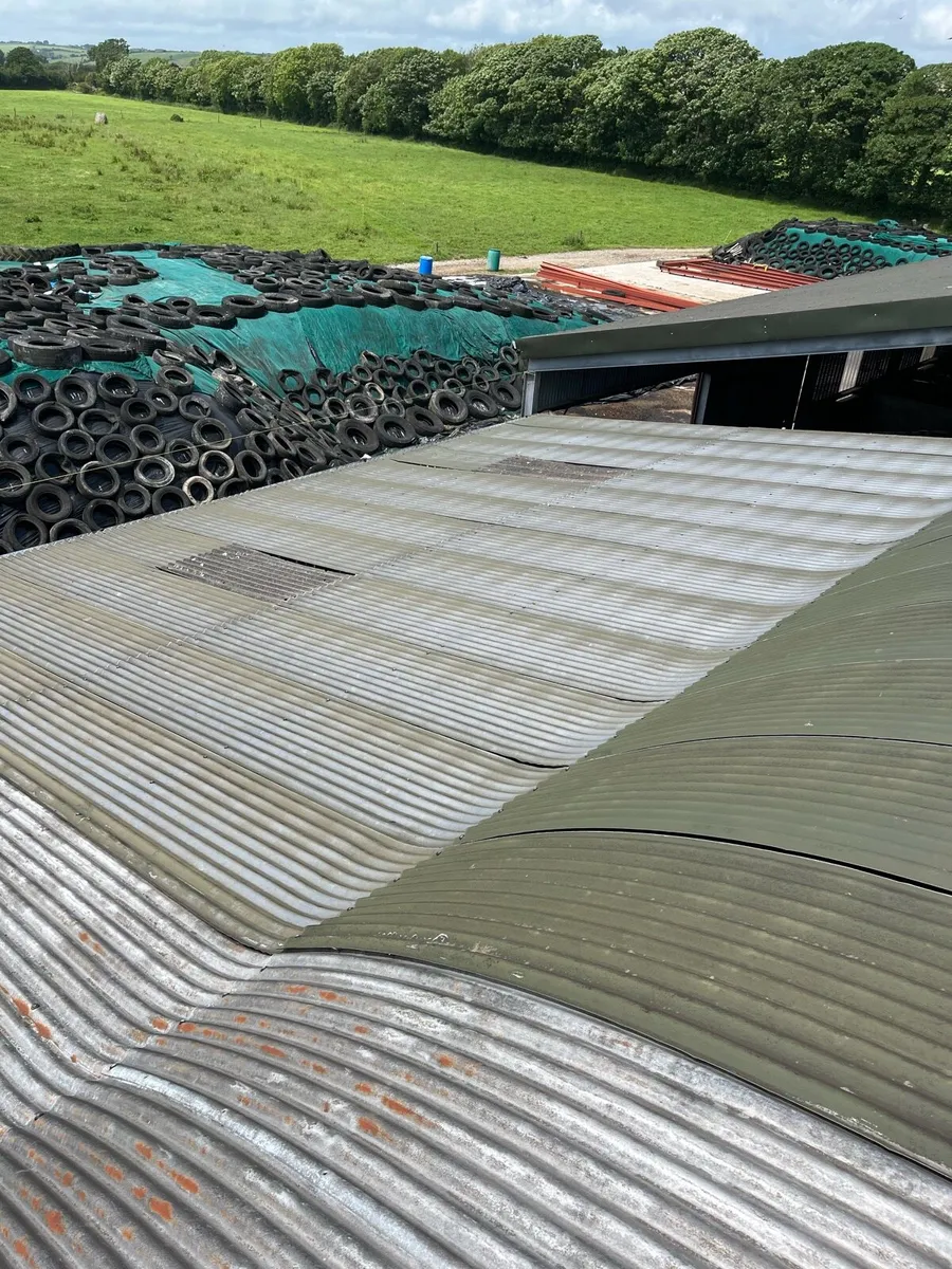 Shed - Image 4