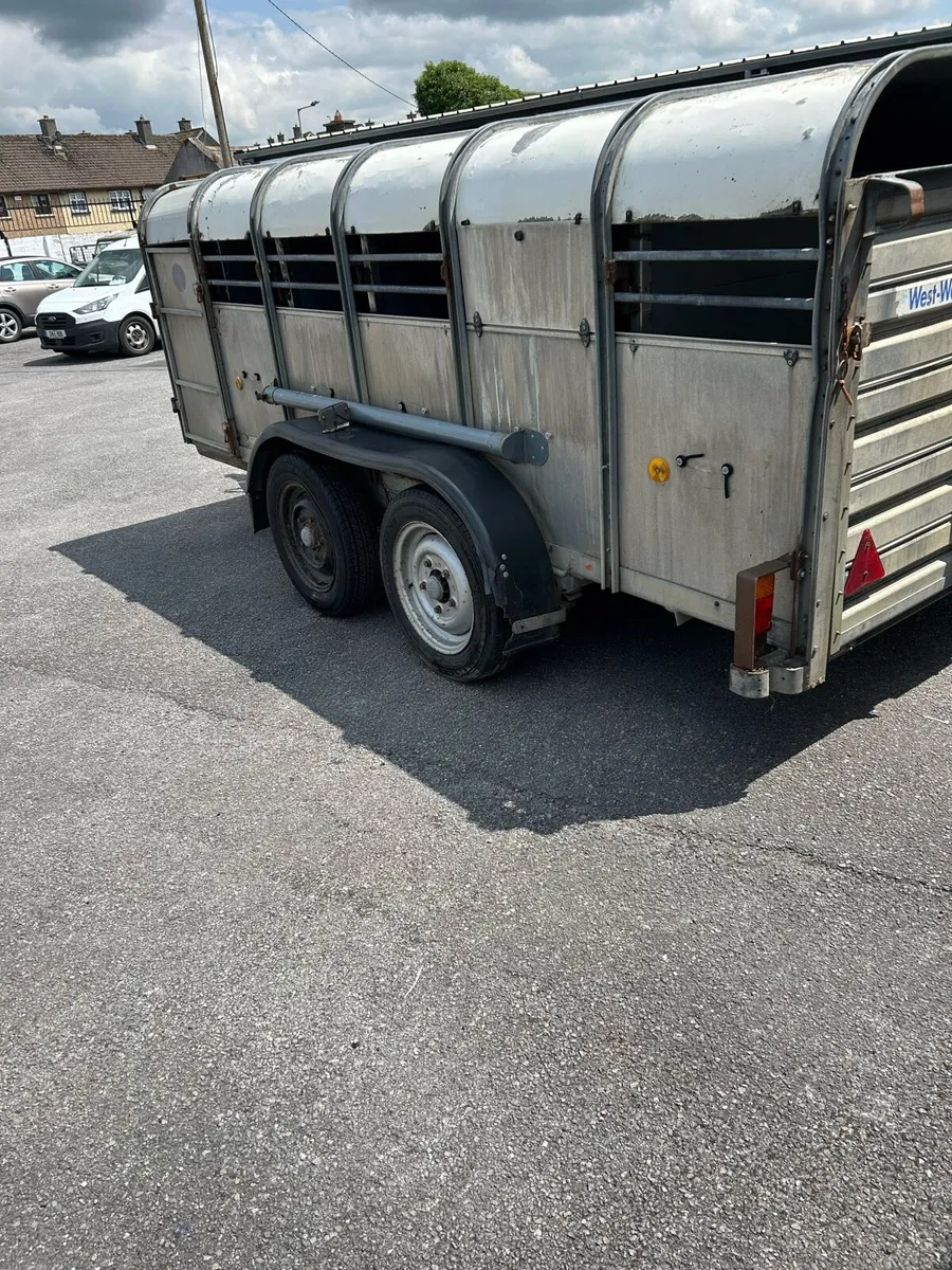Ifor Williams ta12x6 ft livestock trailer - Image 4
