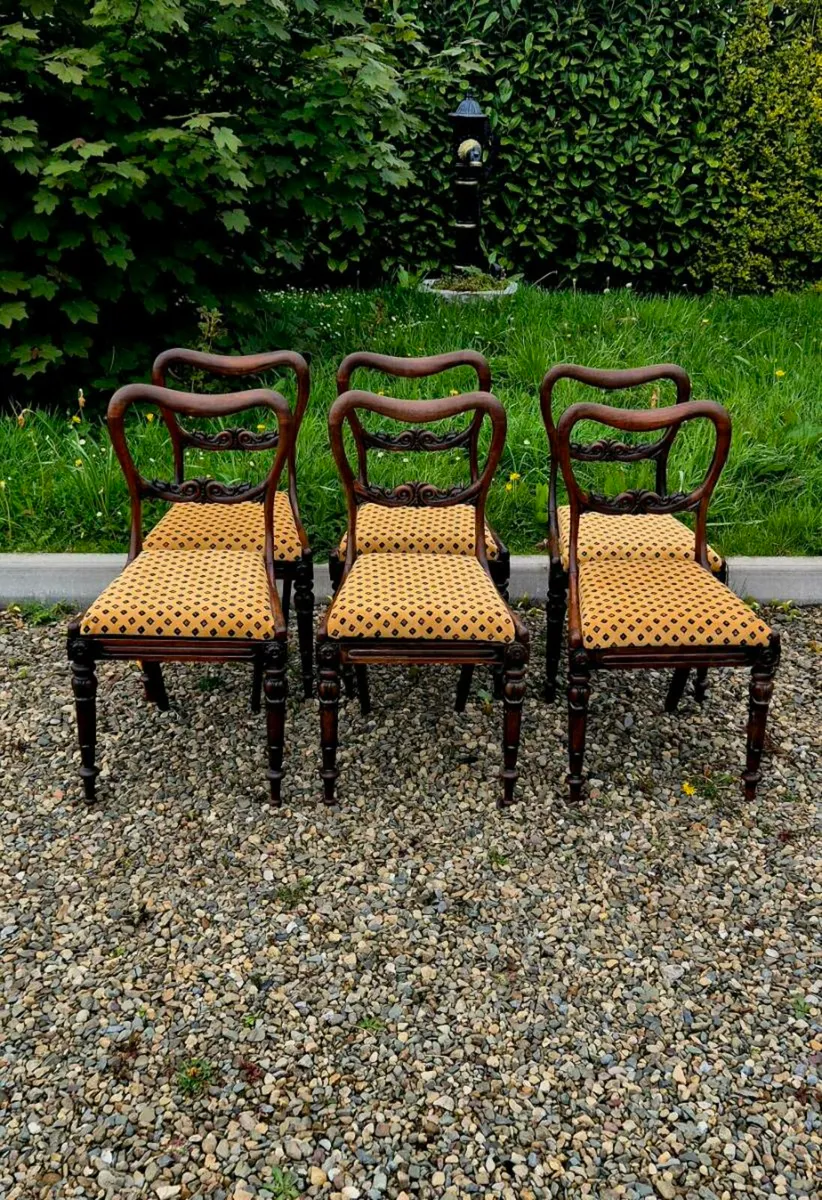 6  old mahogany chairs - Image 1
