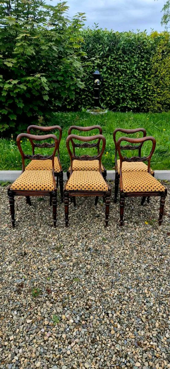 6  old mahogany chairs - Image 2