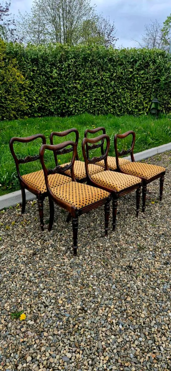 6  old mahogany chairs - Image 3