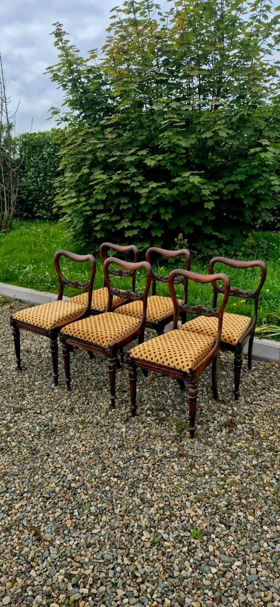 6  old mahogany chairs - Image 4
