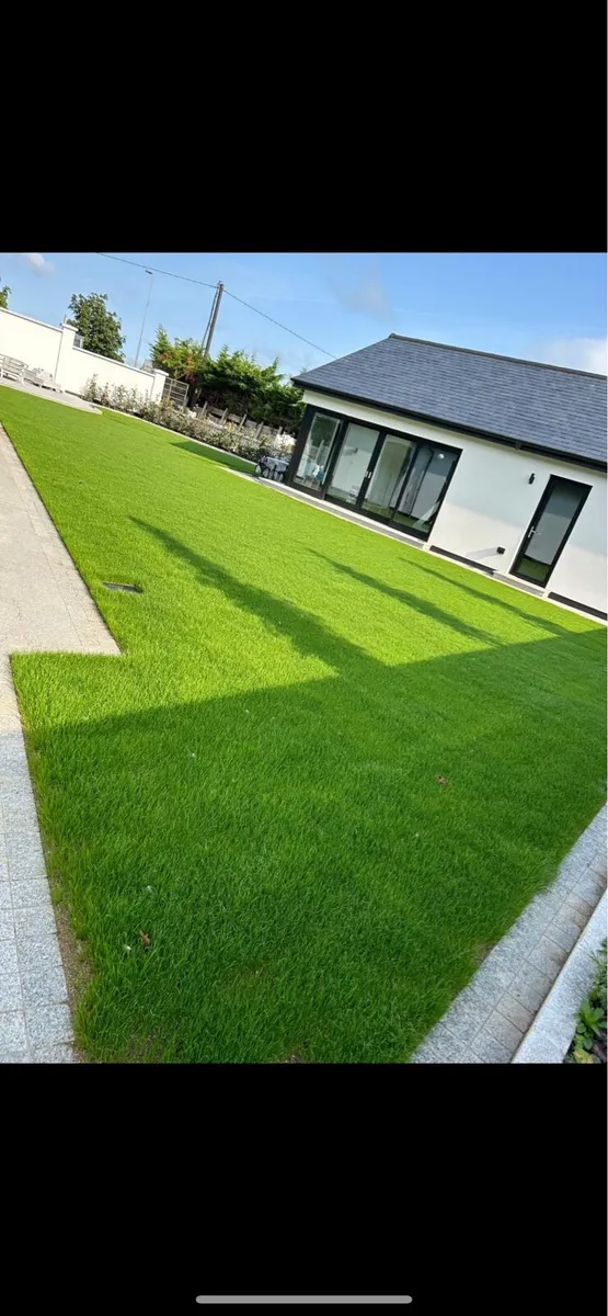 Lawn Reseeding - Image 4