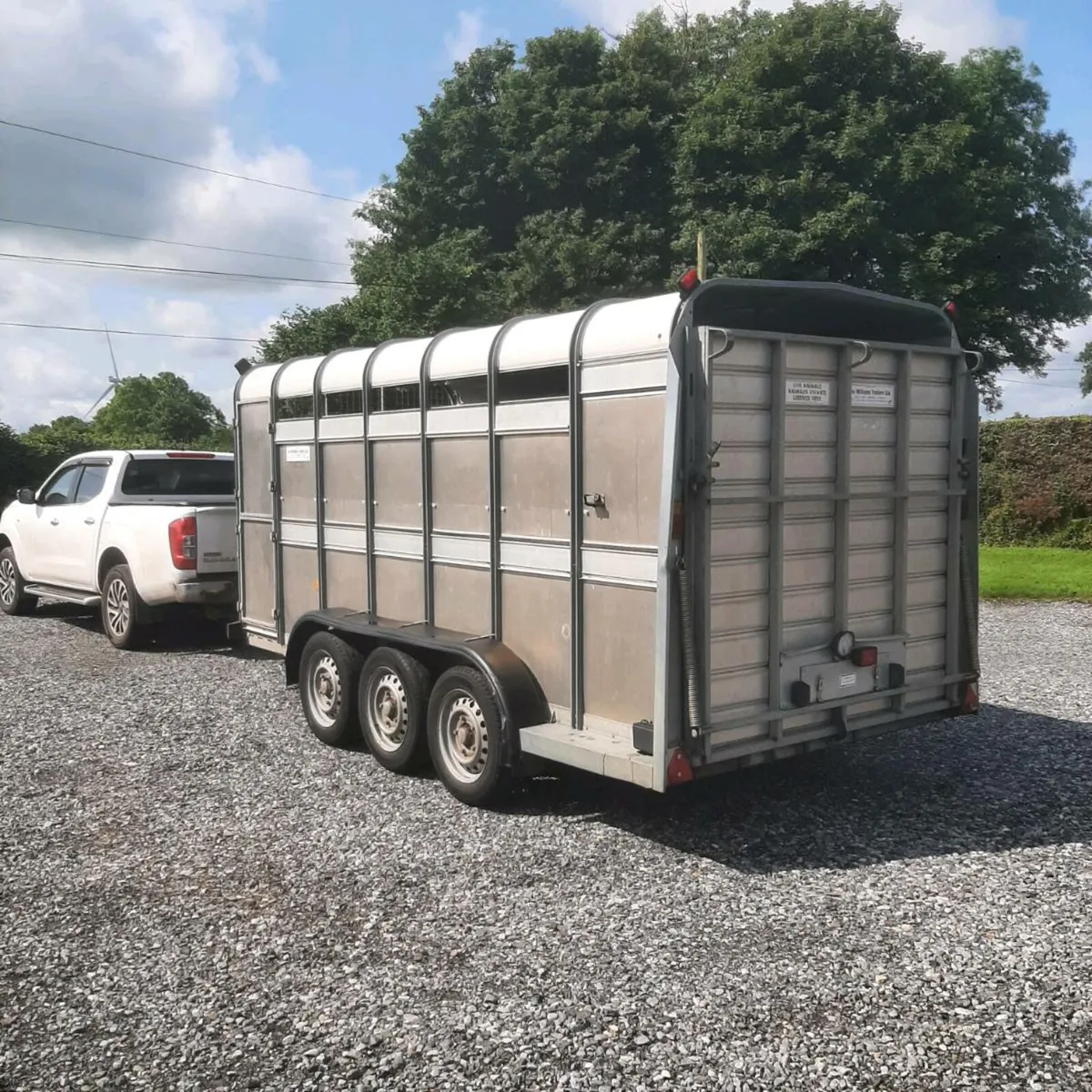 Immaculate Cattle trailer - Image 1