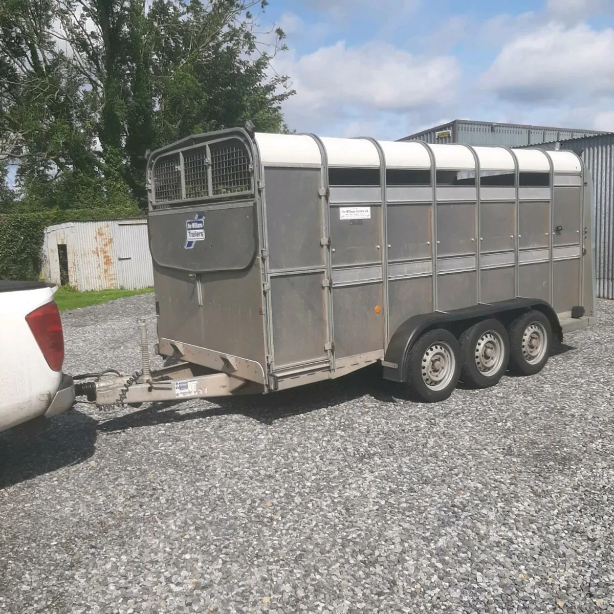 Immaculate Cattle trailer - Image 3