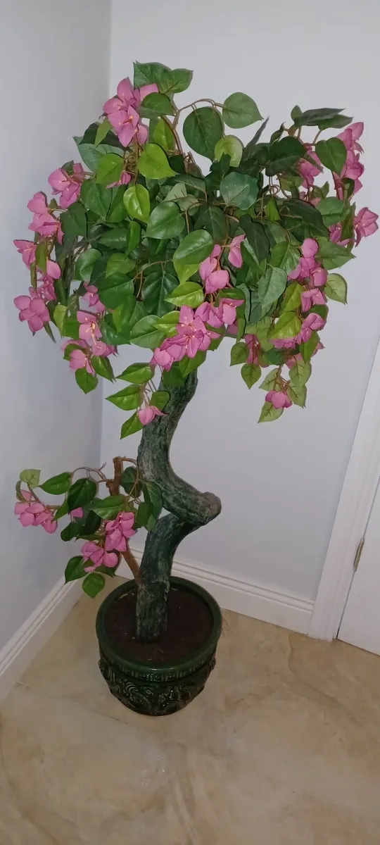 Large 5FT Ornamental Plant - Image 2