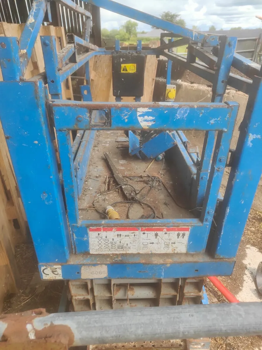 Platform Hoist. - Image 2