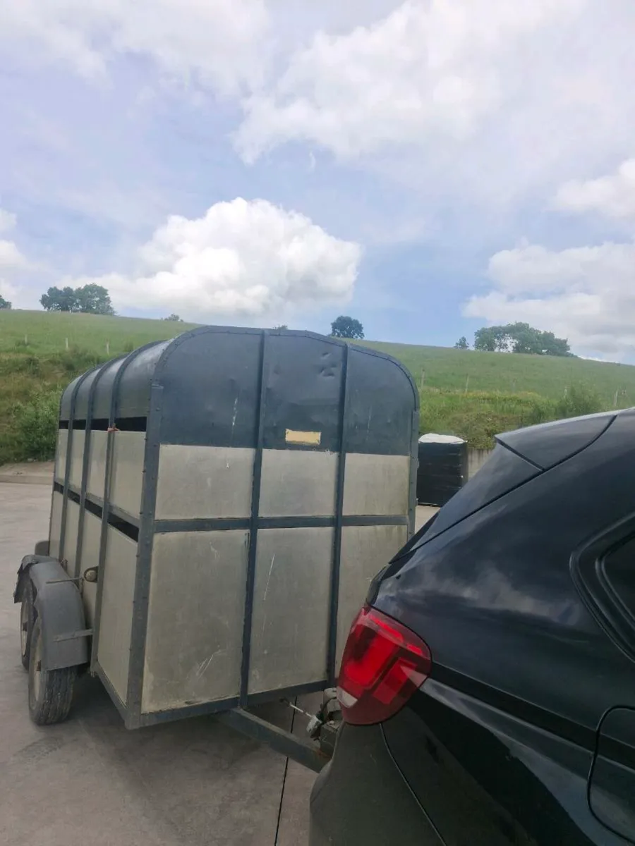 2 cow cattle trailer - Image 2