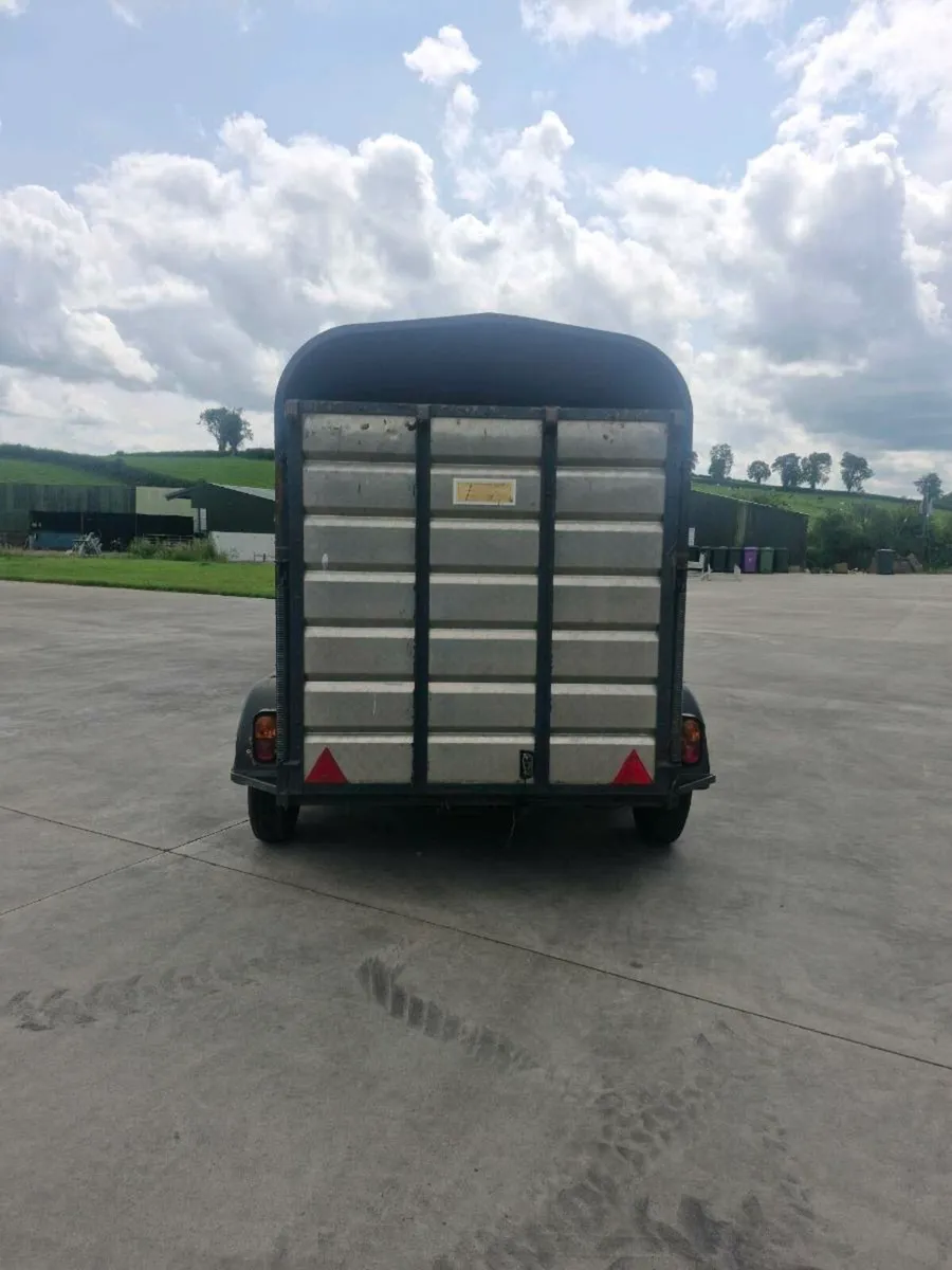 2 cow cattle trailer - Image 3