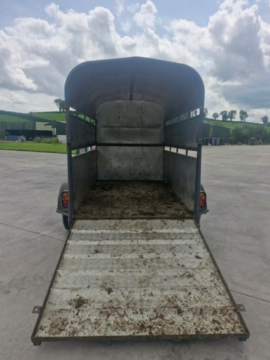 2 cow cattle trailer - Image 4