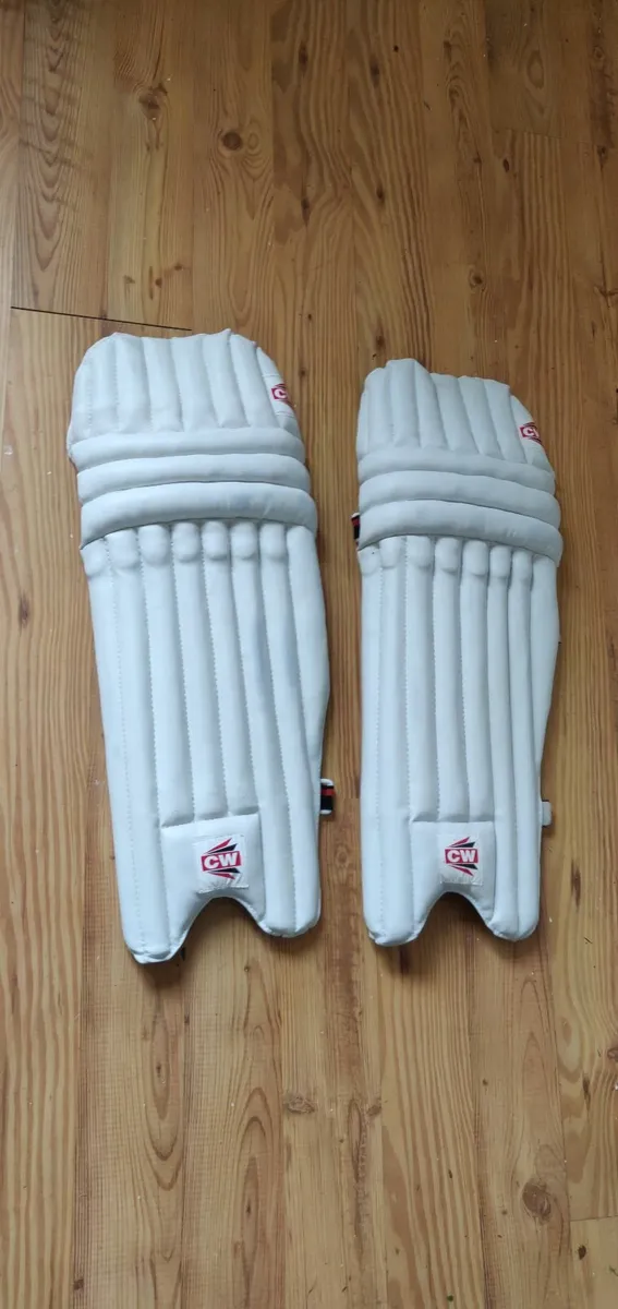 Shin Guards - Image 1