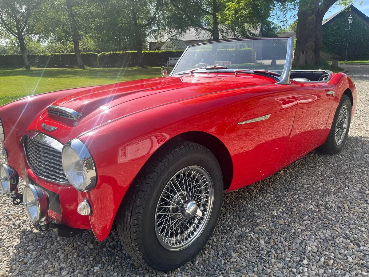 1957 Austin Healey 3000 BN4 - Image 2