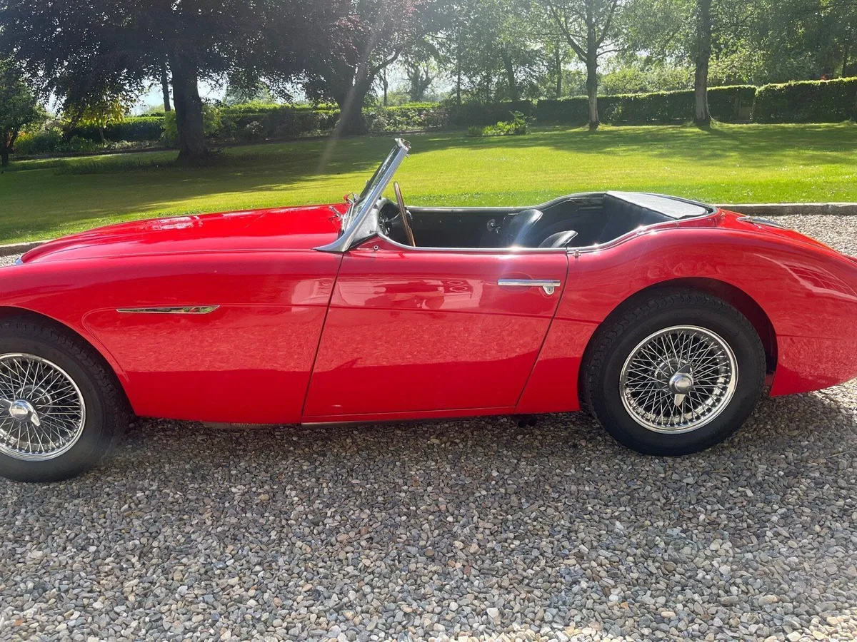 1957 Austin Healey 3000 BN4 - Image 3