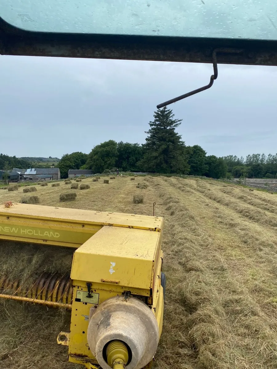 square bales haylage, round bales silage - Image 3