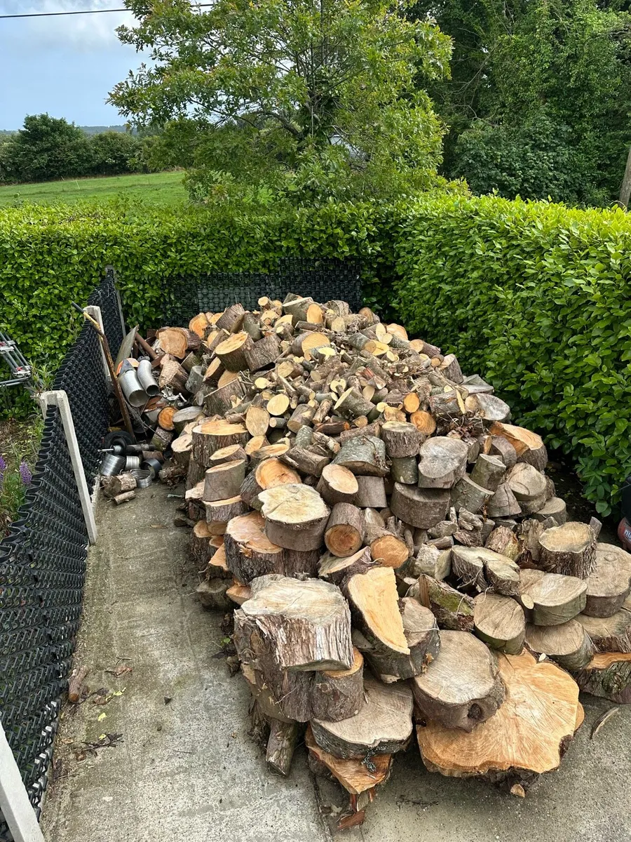 Firewood for sale - Image 1