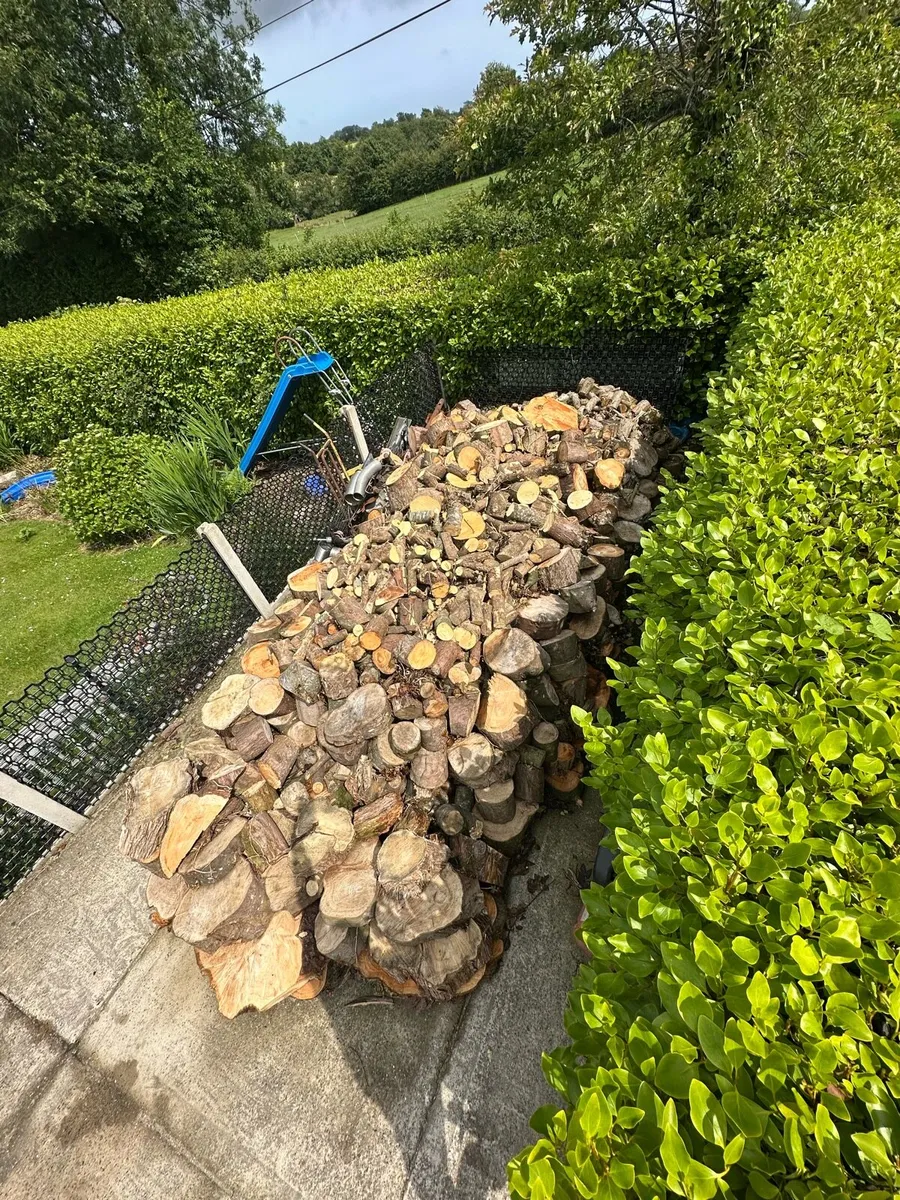Firewood for sale - Image 2