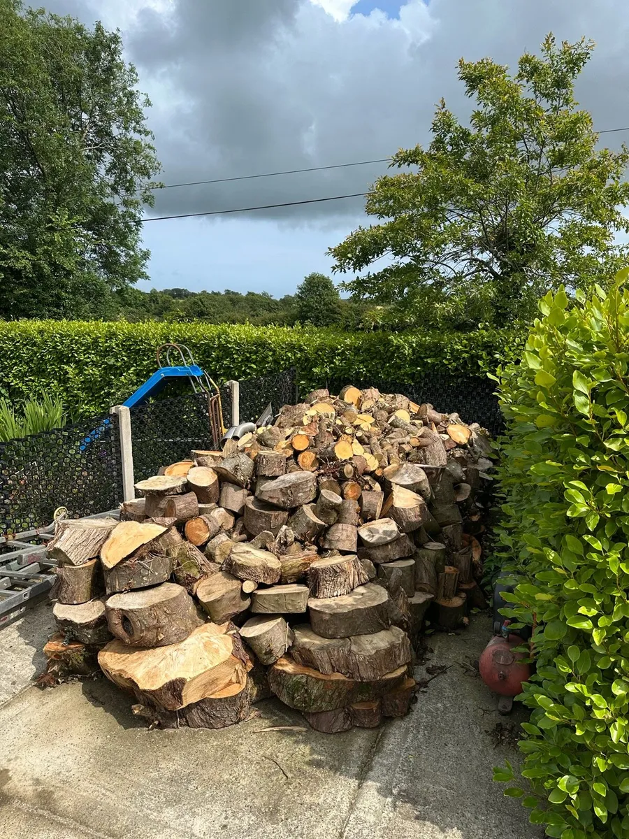 Firewood for sale - Image 3