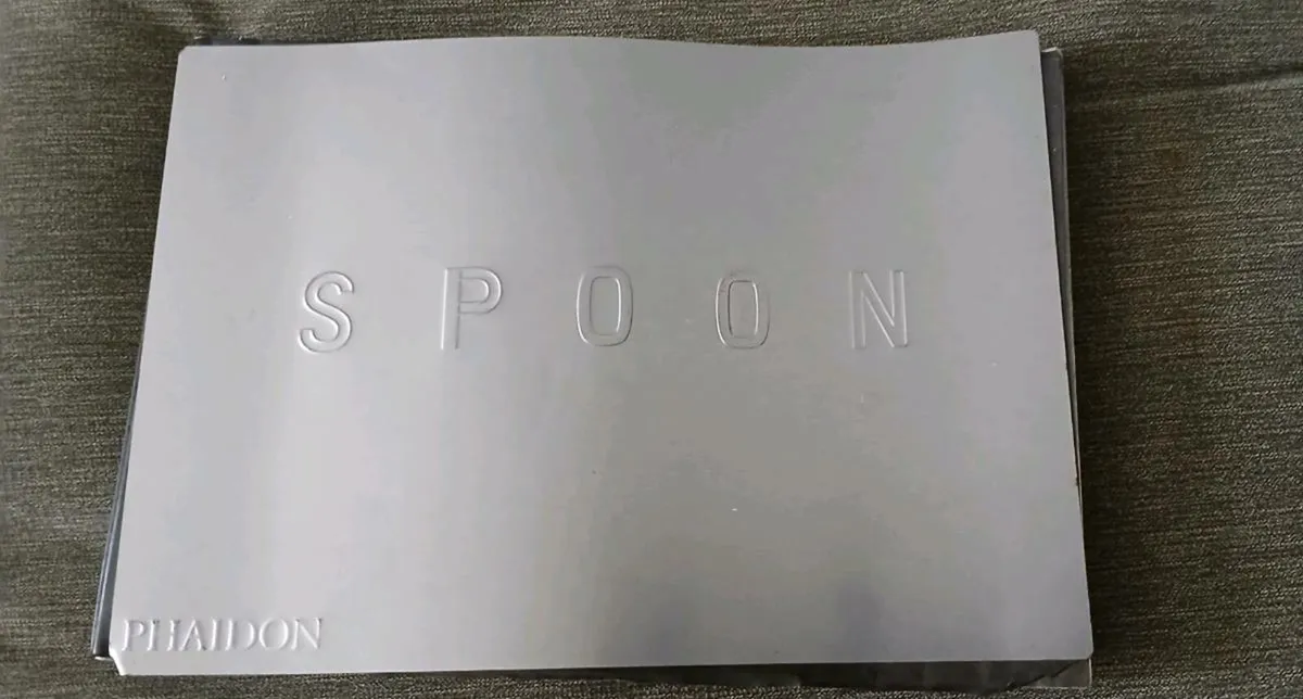 SPOON 100 DESIGNERS - Image 1