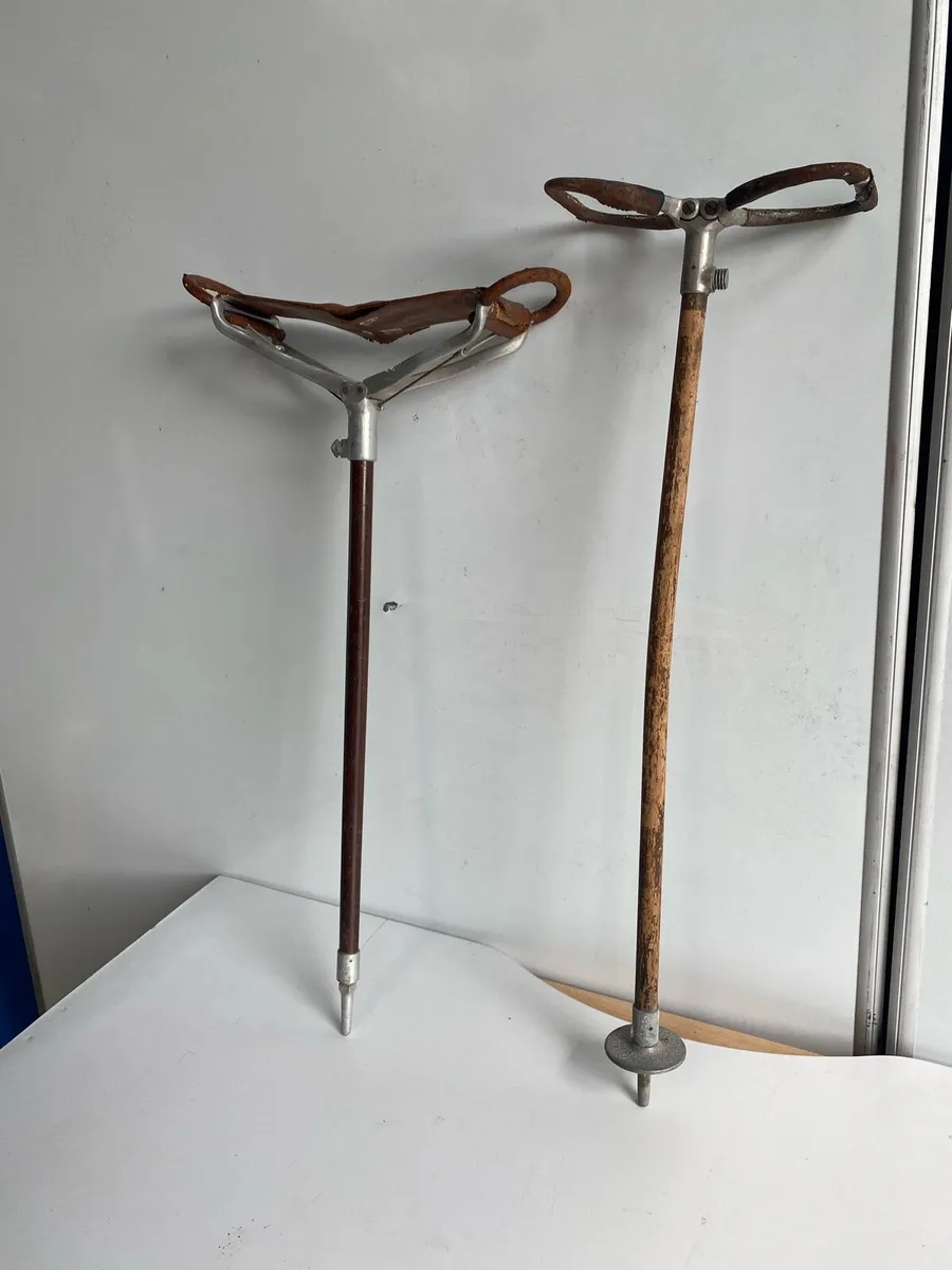 Miscellaneous Seat Canes / Walking Stick - Image 3