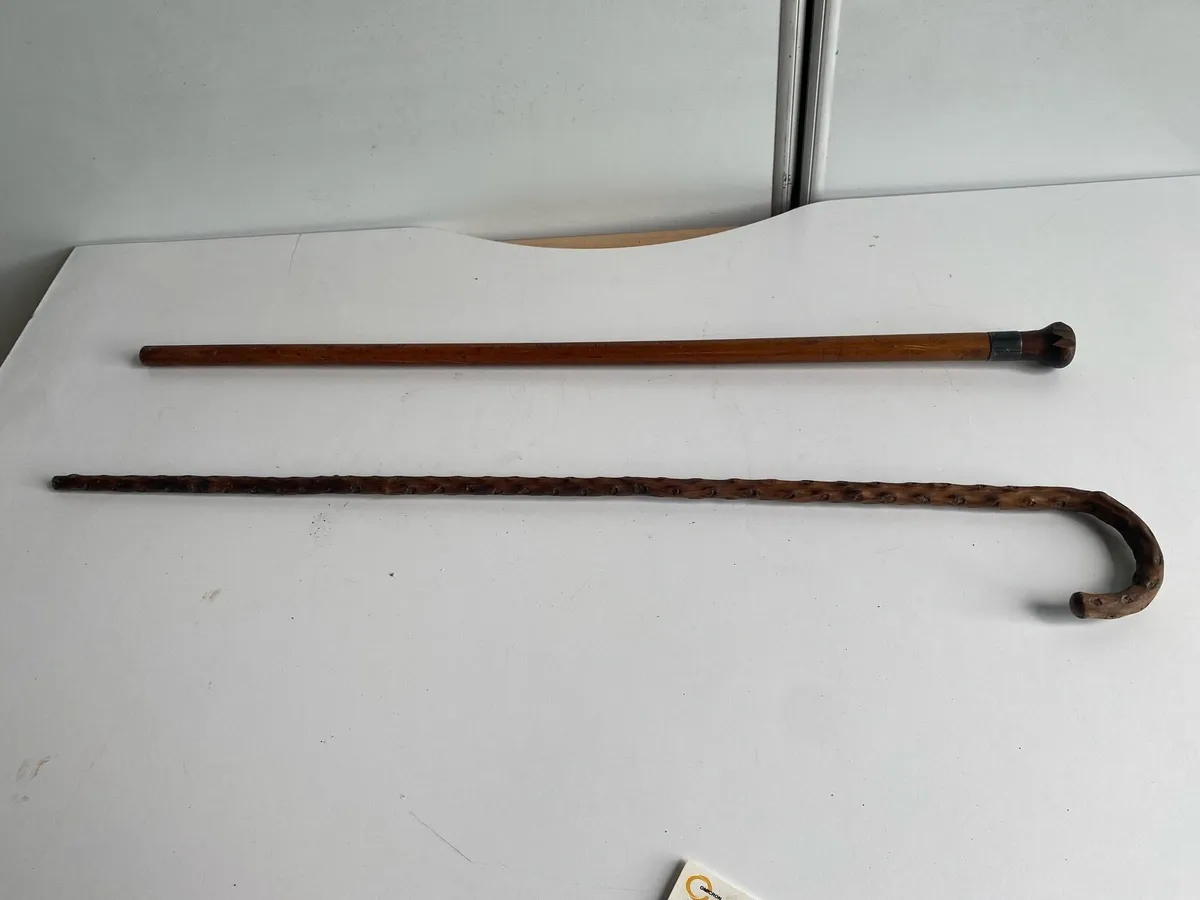 Miscellaneous Seat Canes / Walking Stick - Image 4