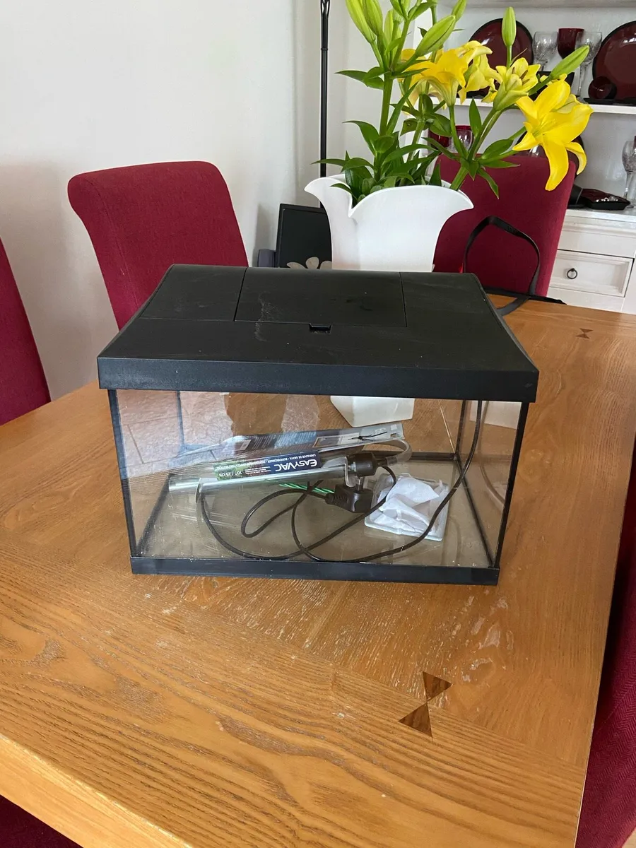 Fish tank and accessories - Image 1