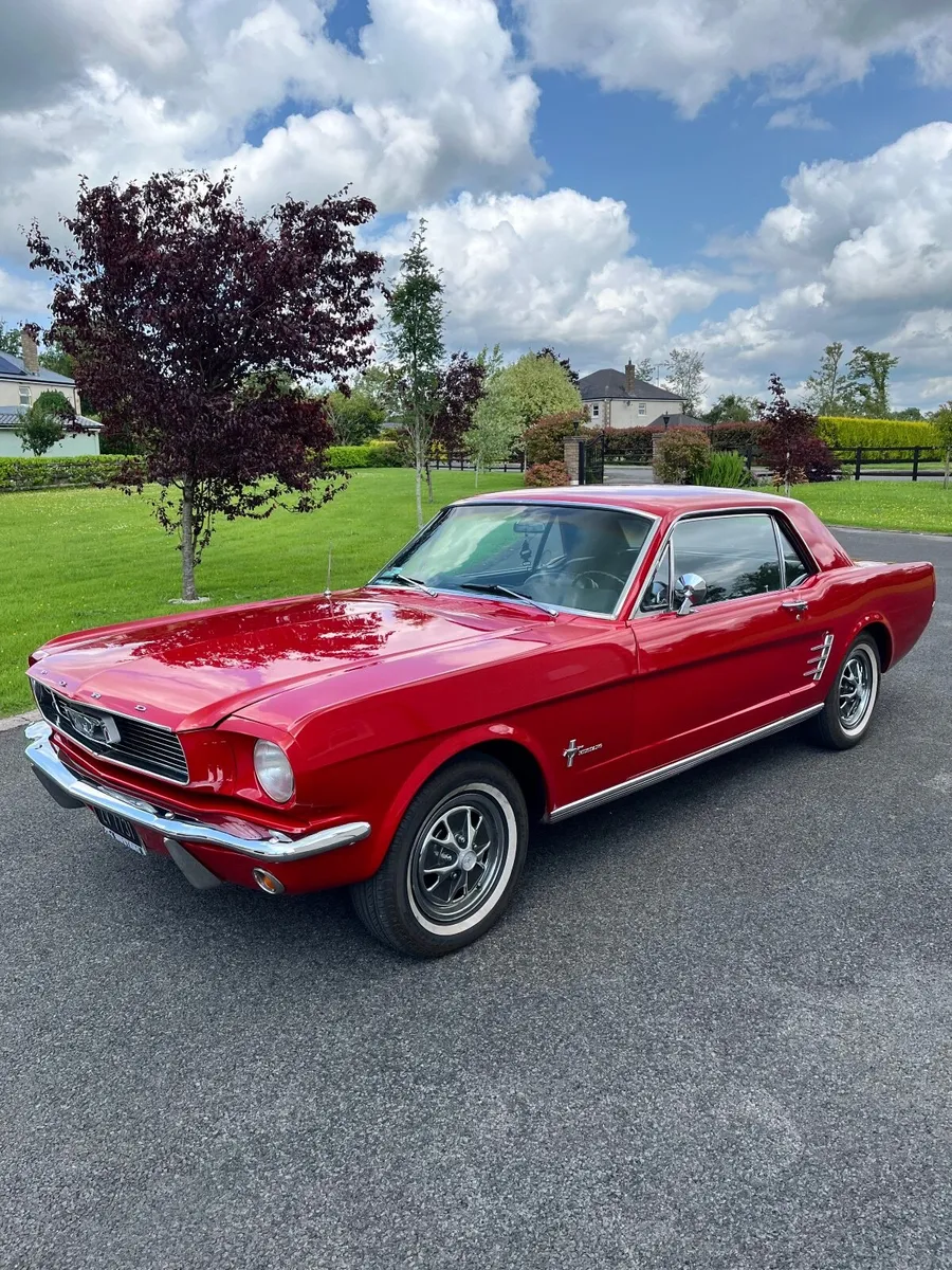 1966 FORD MUSTANG - Image 1