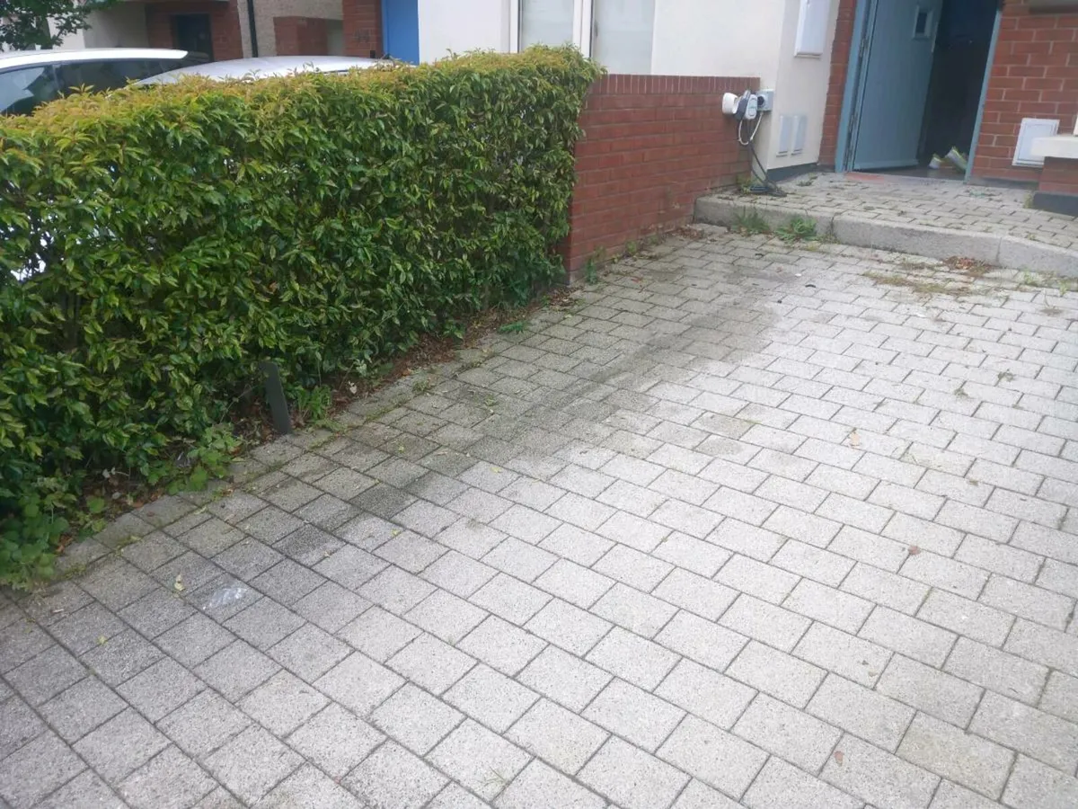 Rubbish removal - Image 2