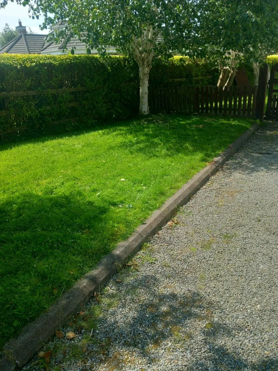 Rubbish removal - Image 4