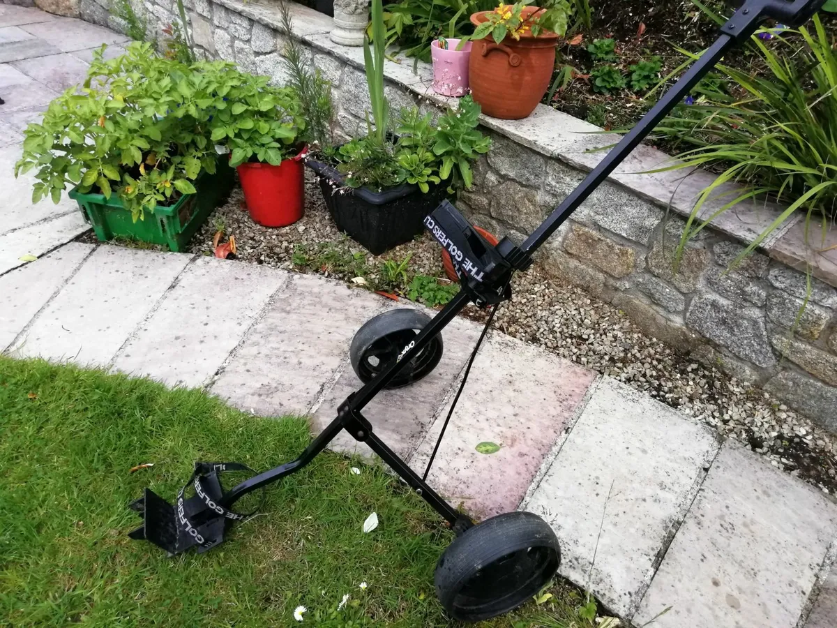 CALLAWAY Golf clubs, POWAKADDY Bag and manual cart - Image 4