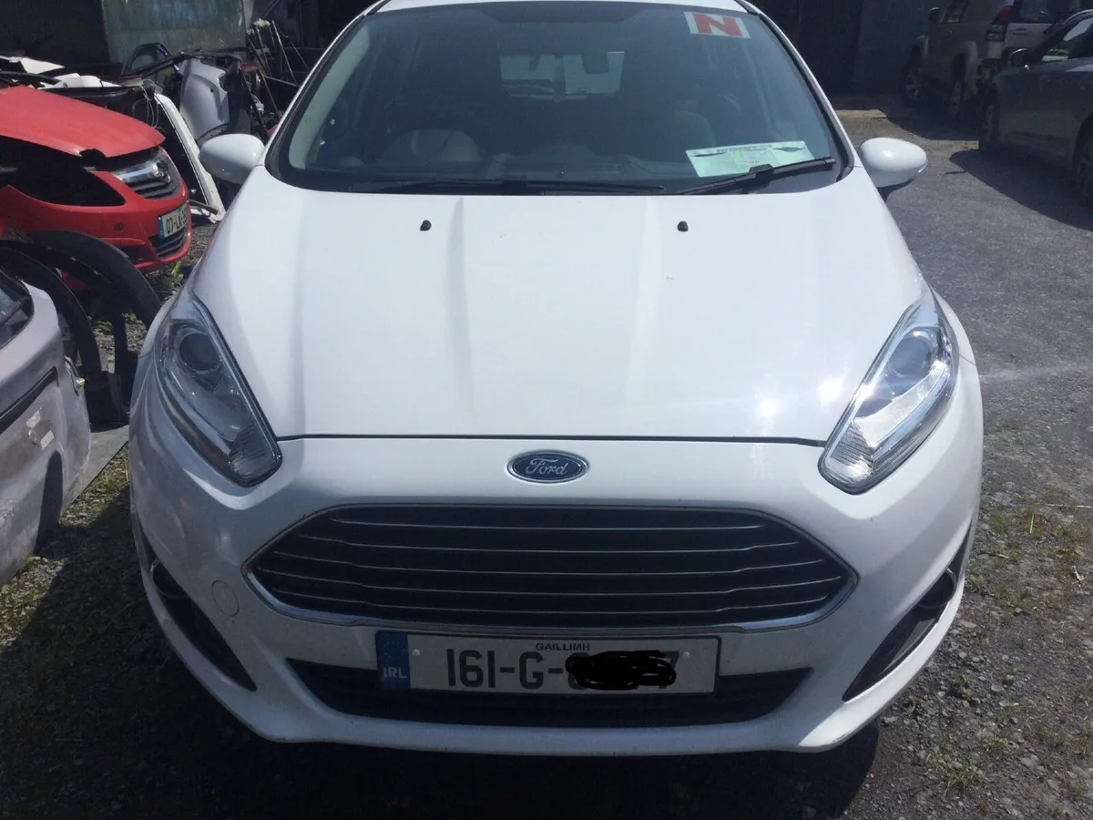 2016 Fiesta - Image 1