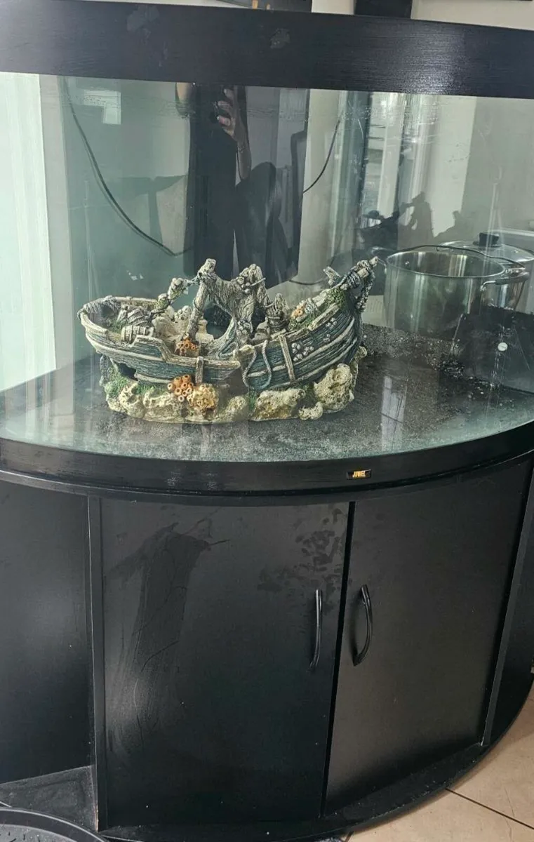 Fish tank