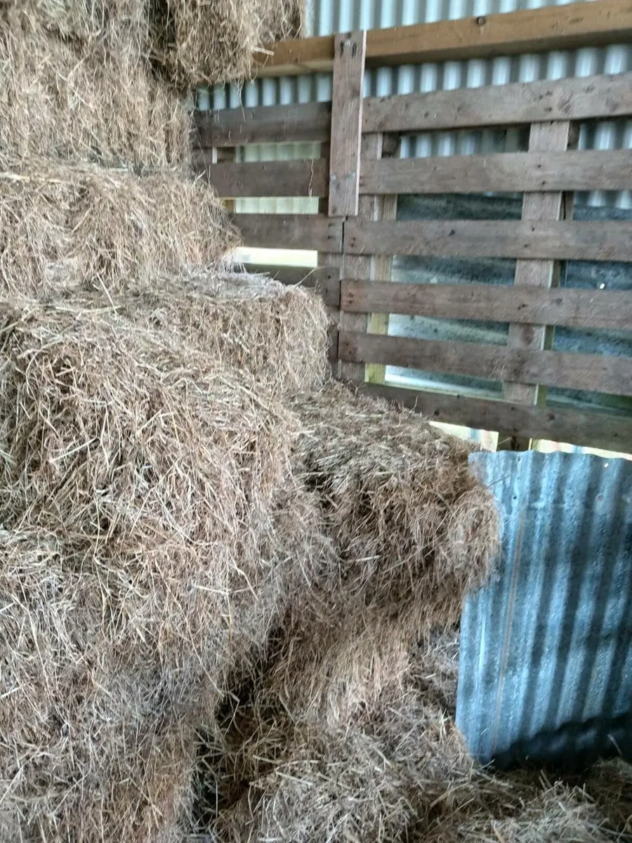 30 Square bales from 2024 - Image 1