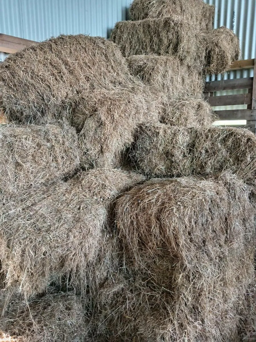 30 Square bales from 2024 - Image 2