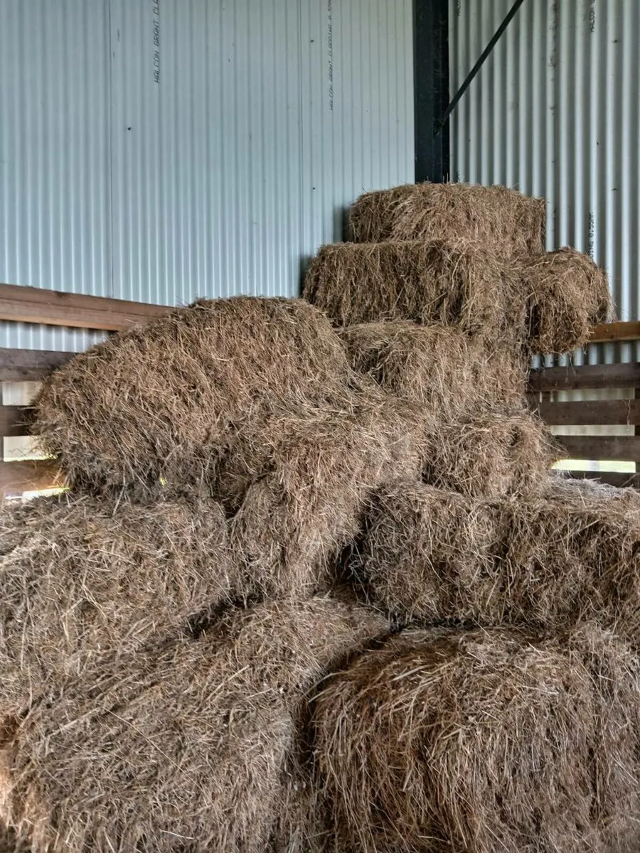 30 Square bales from 2024 - Image 3