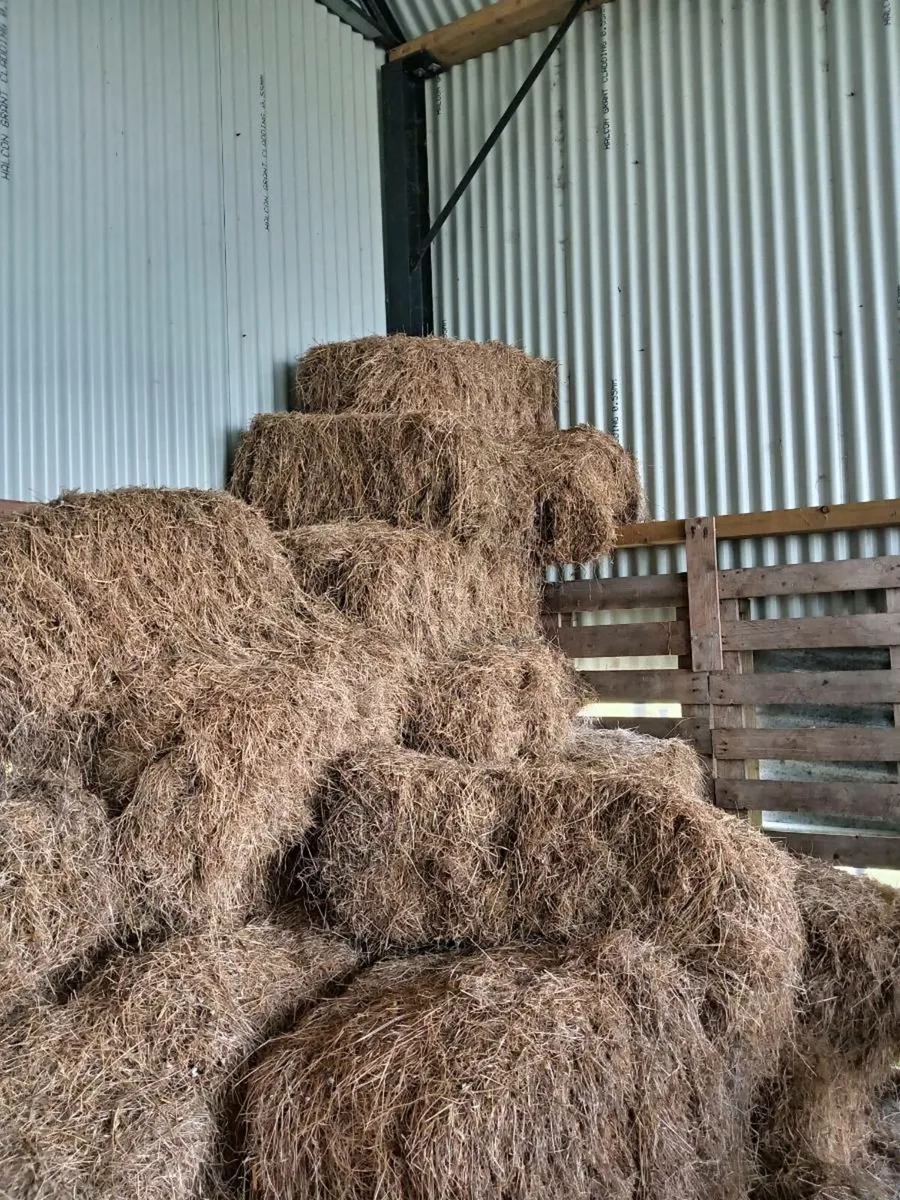 30 Square bales from 2024 - Image 4
