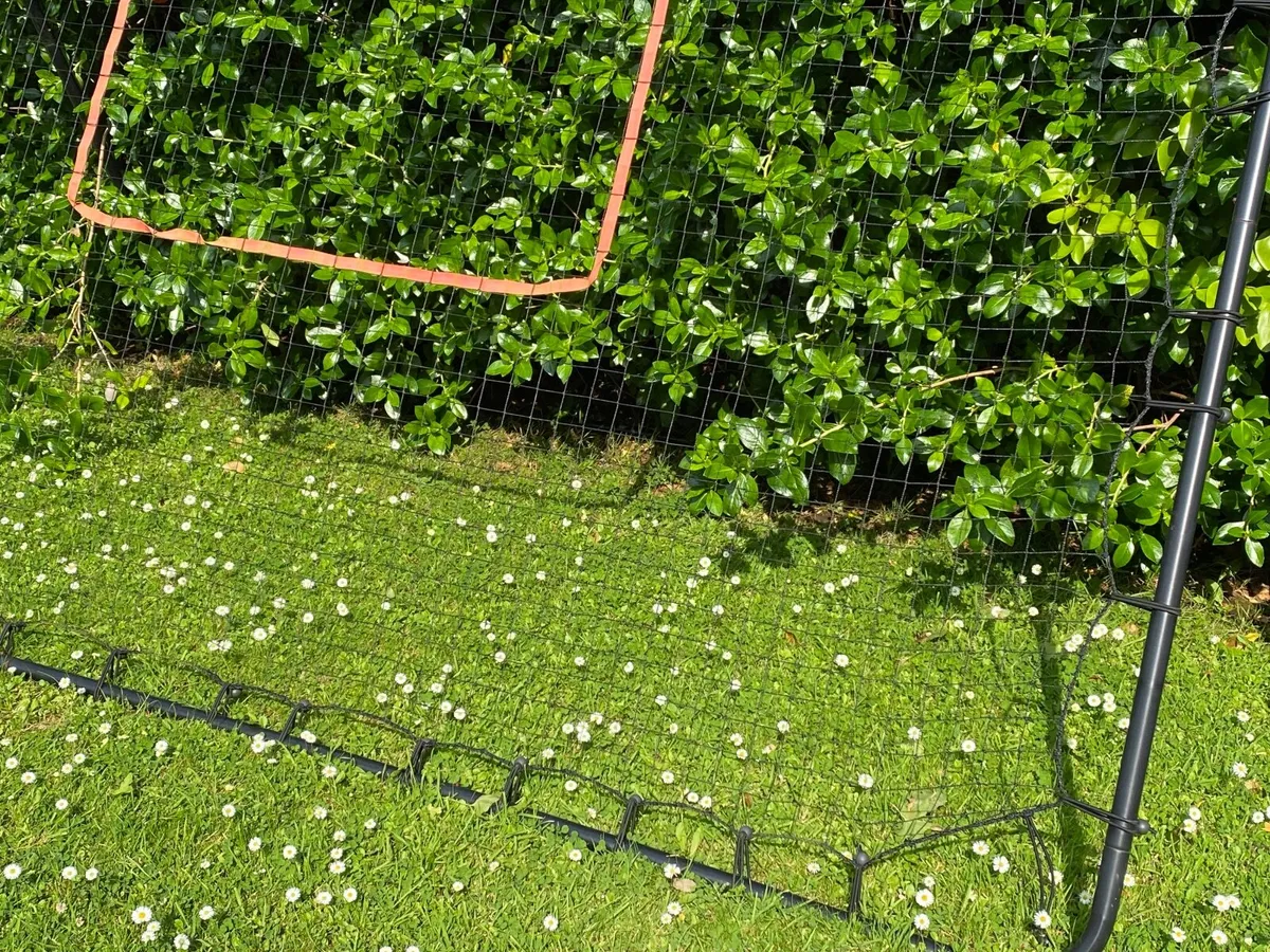 Rebounder (football) - Image 2
