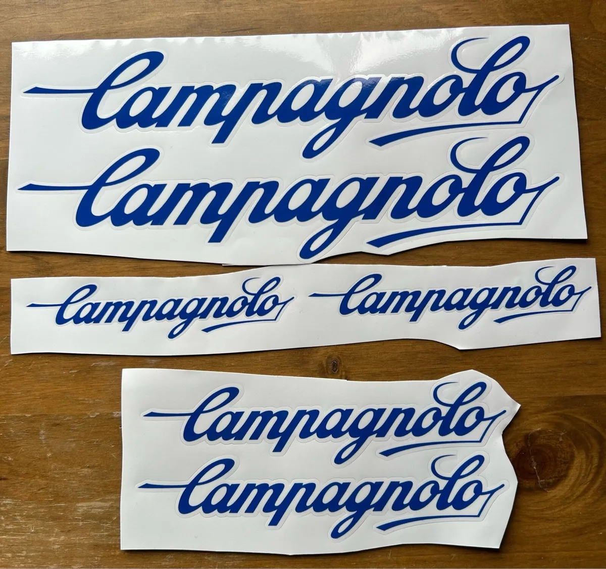 Campagnolo decals - Image 1