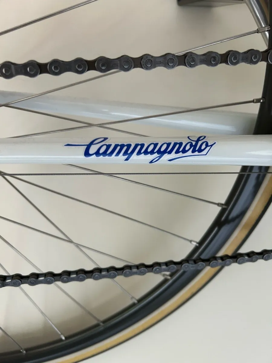 Campagnolo decals - Image 2