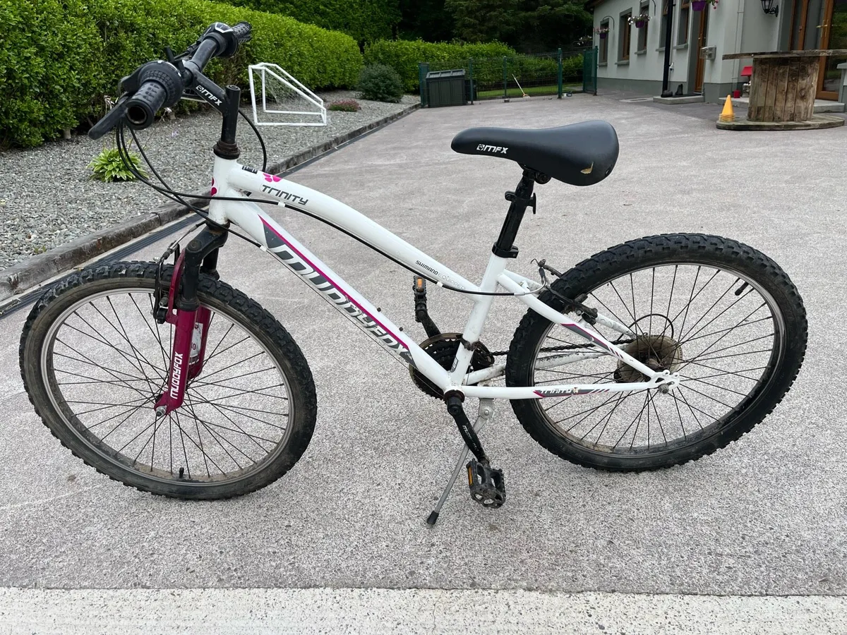 Bicycle - Image 1