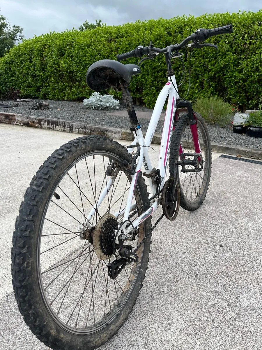 Bicycle - Image 2