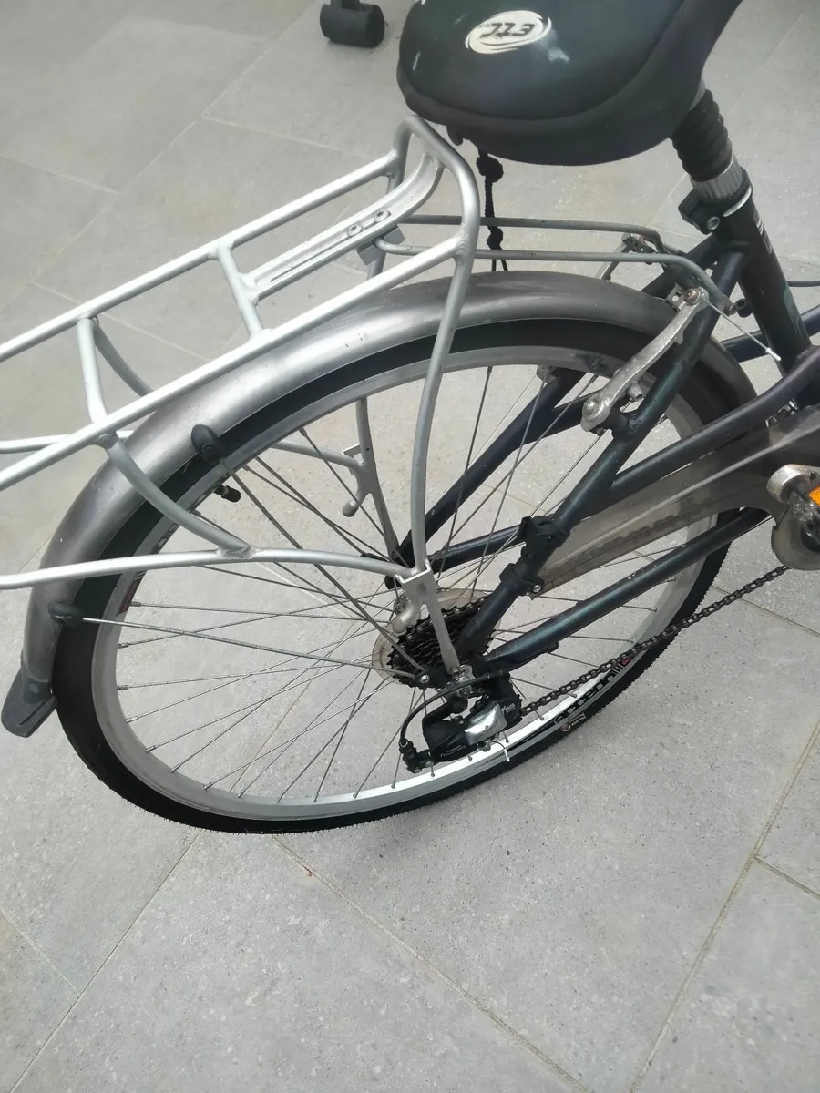 Raleigh Pioneer Ladies Bike Step tru - Image 1