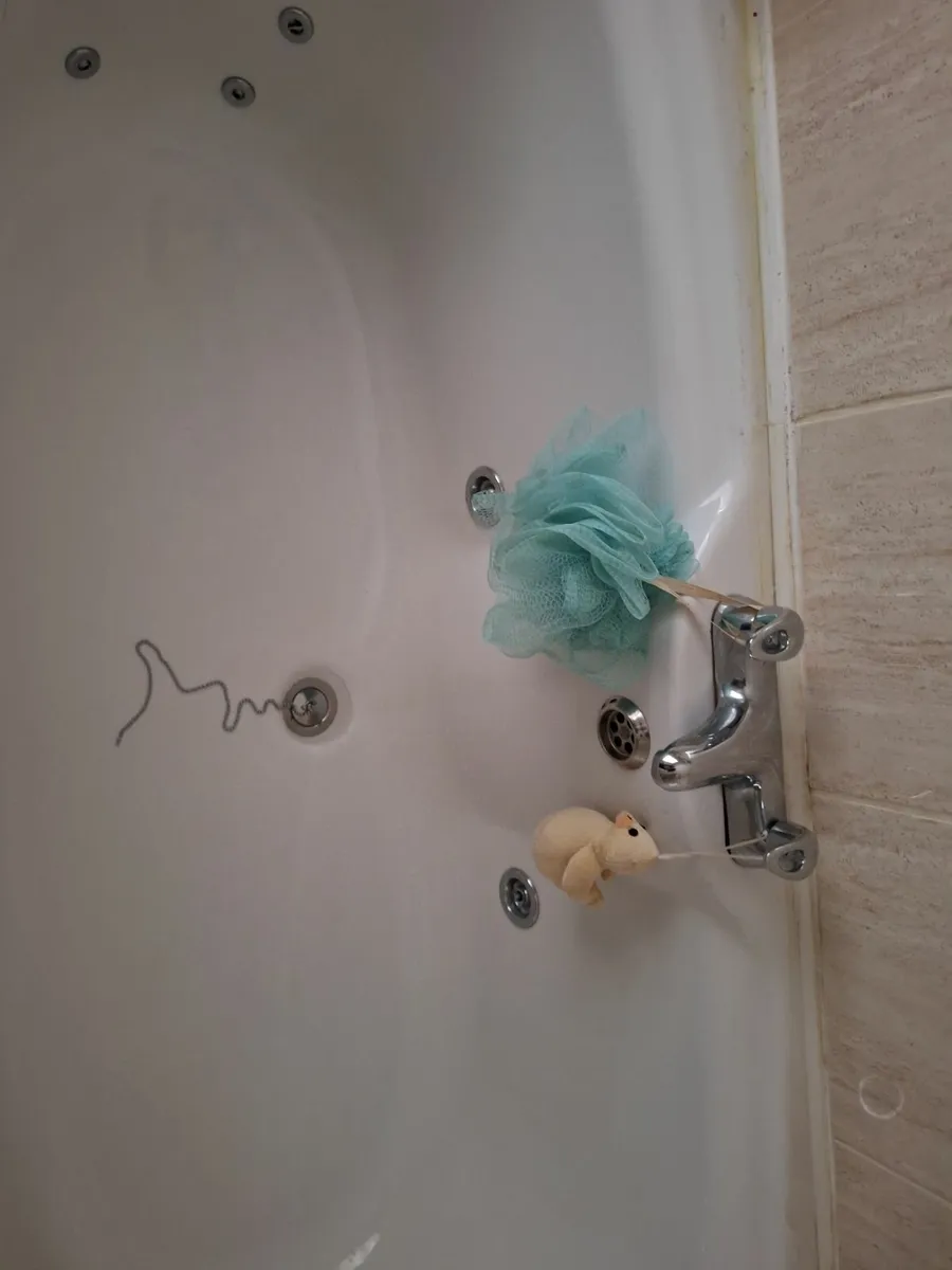 12 Jet Jacuzzi - Image 1