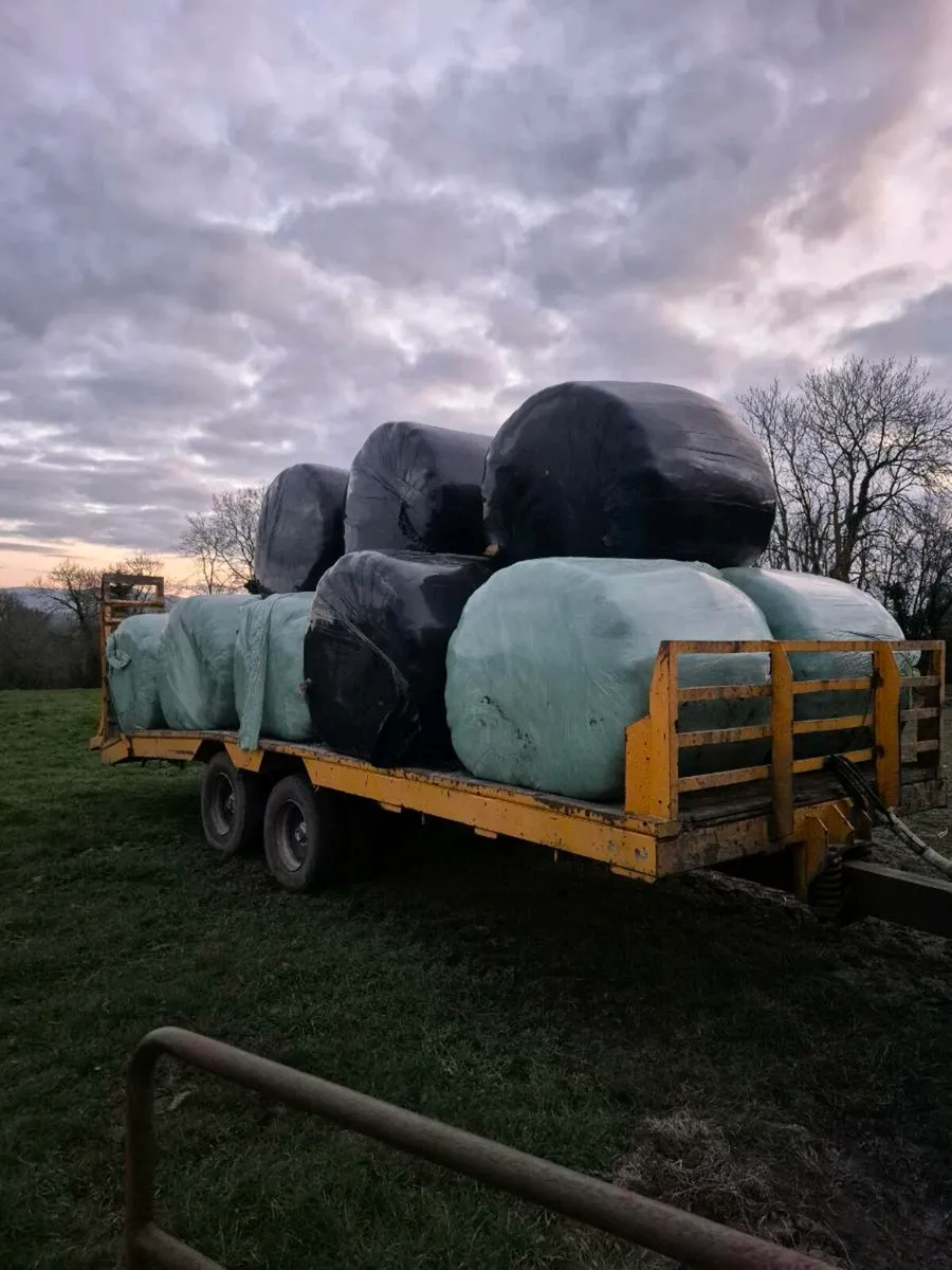Low loader - Image 3