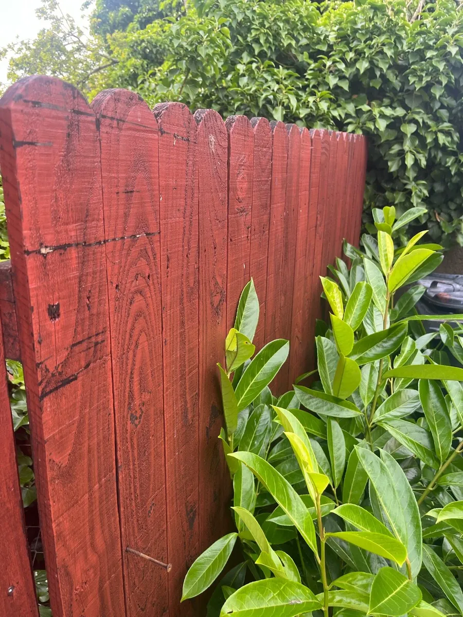 Fencing - Image 1