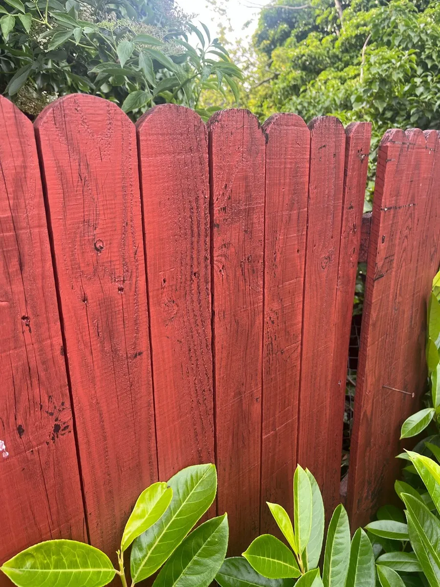 Fencing - Image 3
