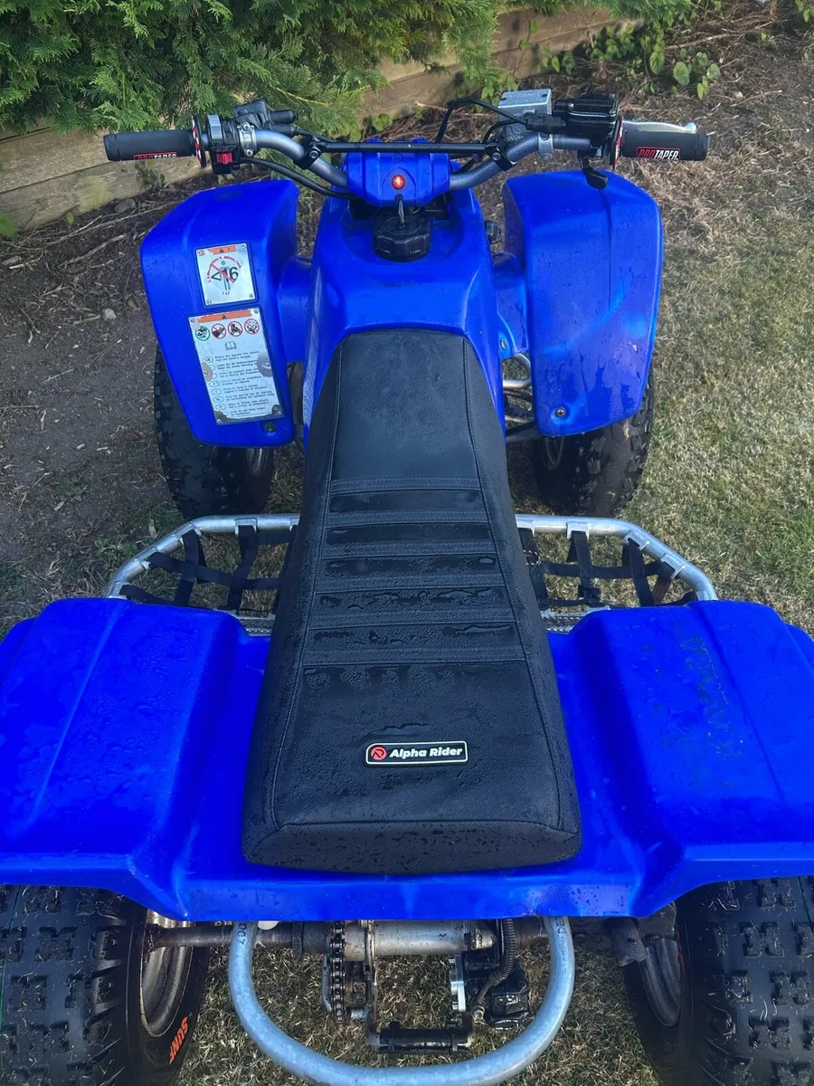 Yamaha blaster - Image 3