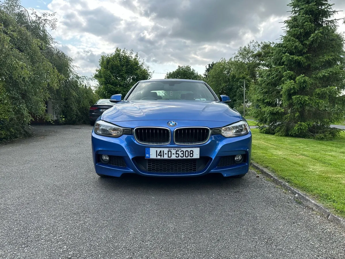 BMW 318d M-Sport Automatic - Image 2