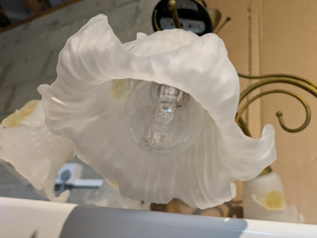 Ceiling & Wall Lights - Image 1