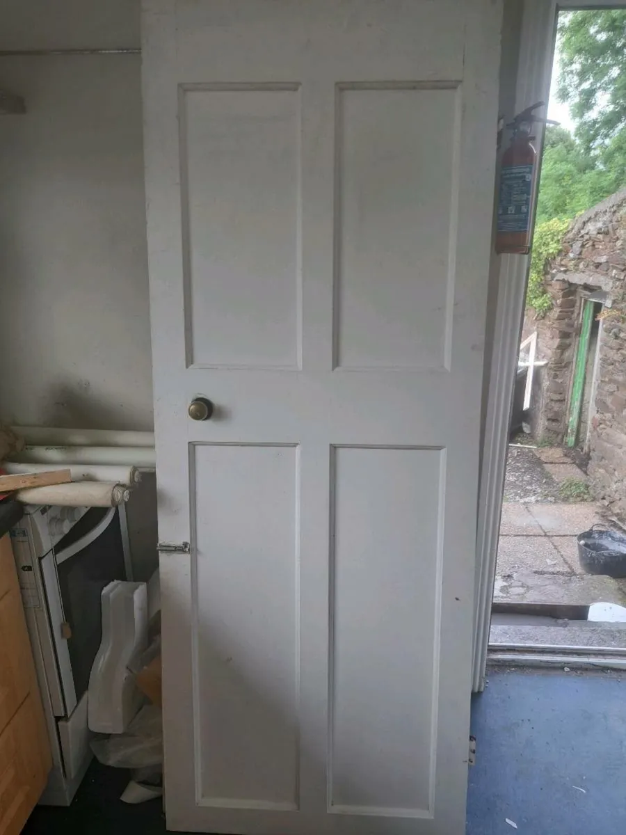 Internal doors - Image 1